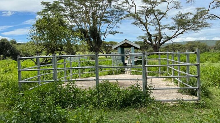 Restoring Strength, Restoring Hope: How Tanzania Nature’s Pride Fights for a Thriving Livestock Industry