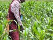 Sowing Seeds of Hope: How Tanzania Nature’s Pride Fights for Food Security